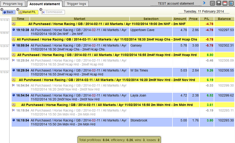 Sample account statement for the Backing Multi-Link Doubles Plan